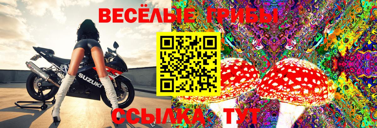 Псилоцибиновые грибы мицелий Краснодар