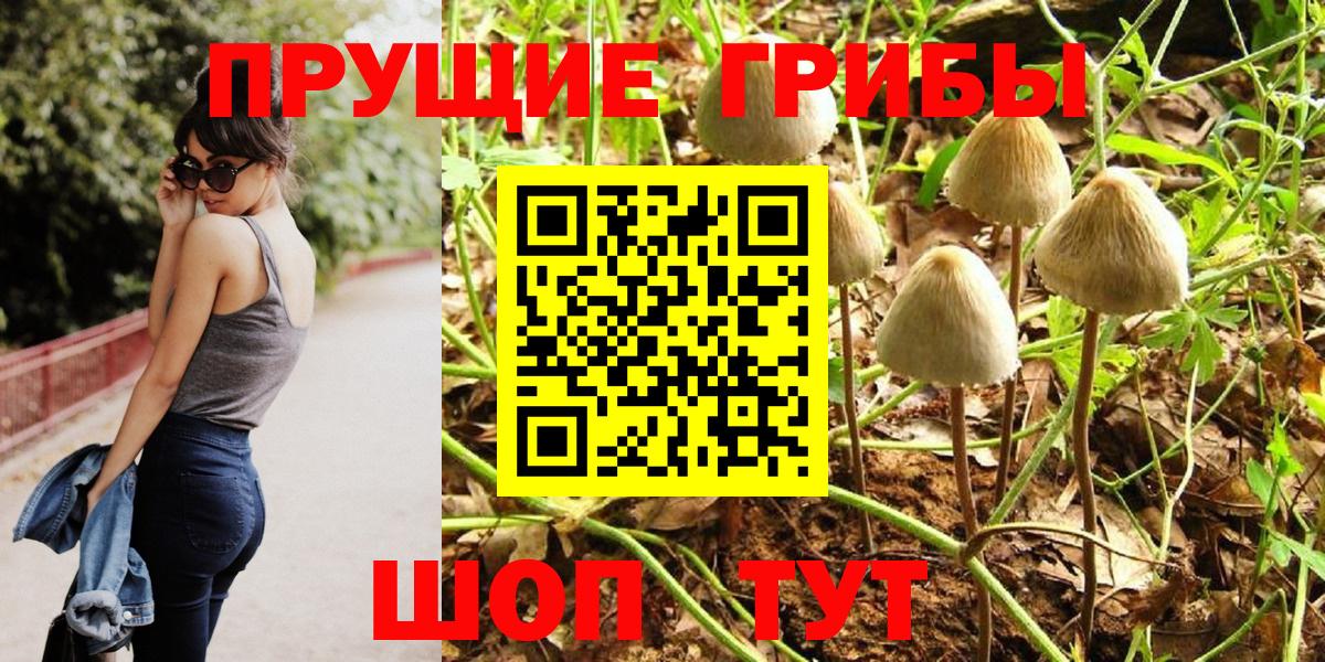 Краснодар  Галлюциногенные грибы GOLDEN TEACHER  Вход с VPN  Псилоцибиновые грибы Magic Shrooms 
